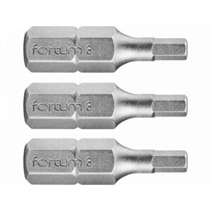 FORTUM Bity IMBUS H3.0x25mm, 3ks, S2