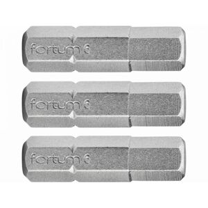 FORTUM Bity IMBUS H5.0x25mm, 3ks, S2