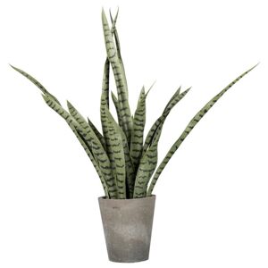 Umelá Rastlina Sanseveria, V: 85cm